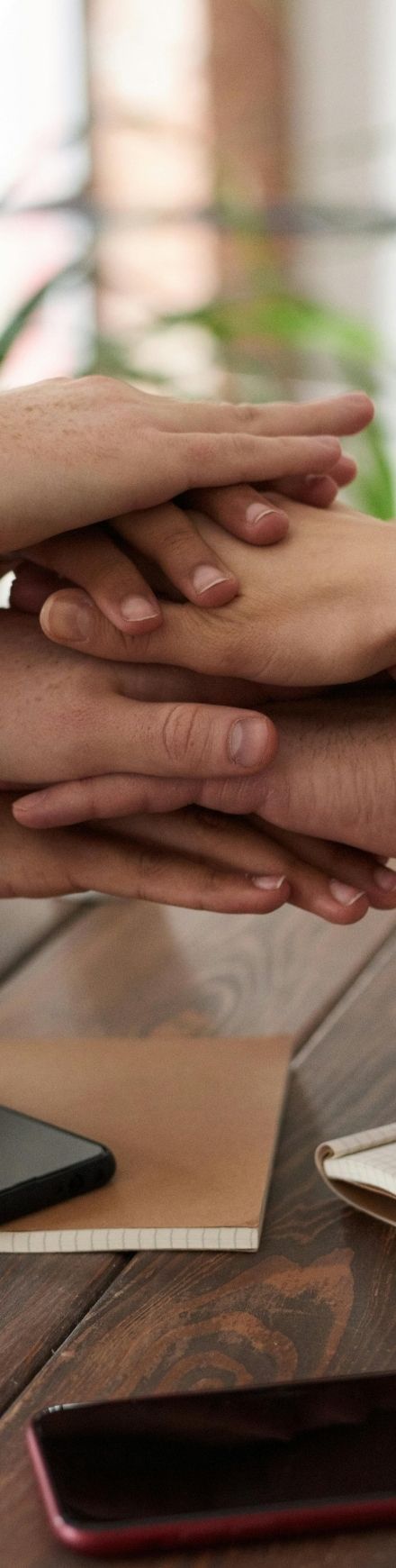 ORION FX müşteri temsilcisi